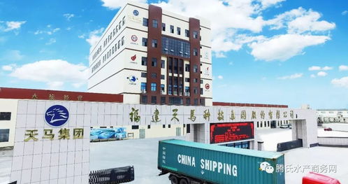 二手車交易市場經(jīng)營 從車源到服務(wù)的全鏈條管控之道
